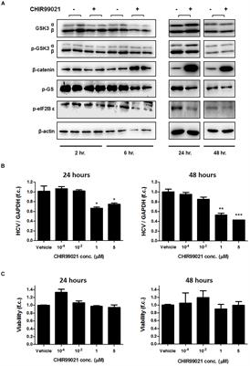 Glycogen Synthase Kinase 3β Enhances Hepatitis C Virus Replication by Supporting miR-122